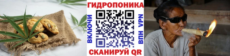кракен   Светлоград  Canna-Cookies марихуана 