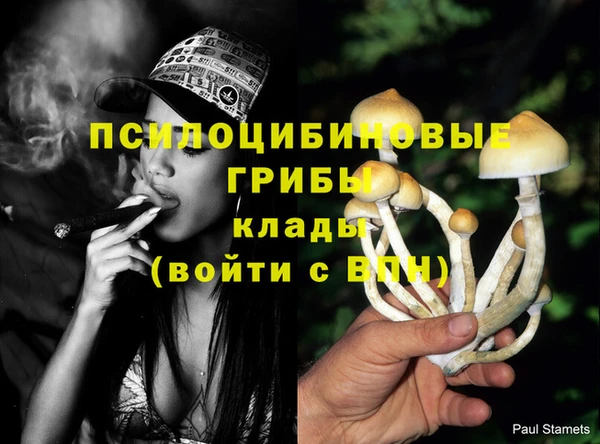 гидропоника Арсеньев